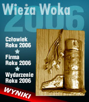 Wieża woka