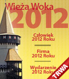 Wieża woka