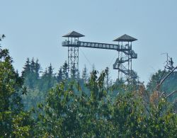 zaladowane_obrazy/mini/foto__d35d1eee00.JPG