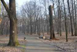 zaladowane_obrazy/mini/foto__e9f3cf8a90.JPG